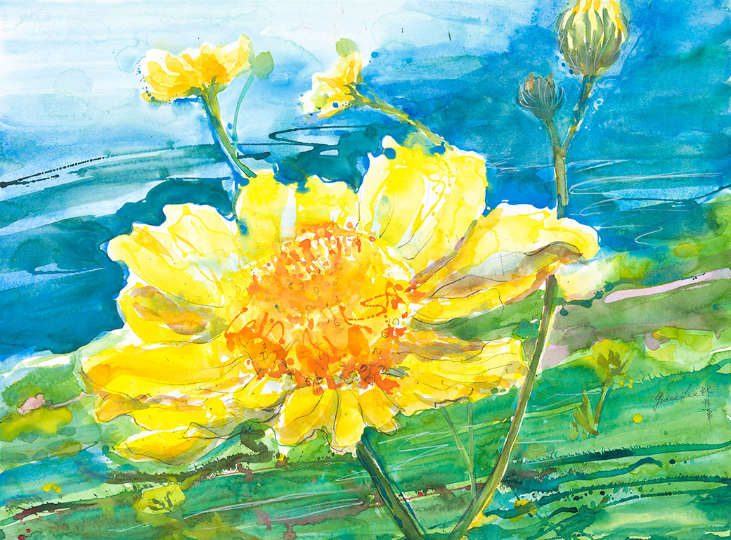 野菊