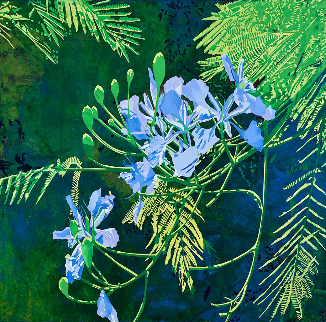 林桂華 藍鳳凰花